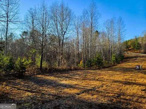 580 Edgewater Trail N, Toccoa, GA 30577