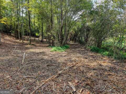 Lot 40 Pleasant Meadows / Coras View, Blairsville, GA 30512