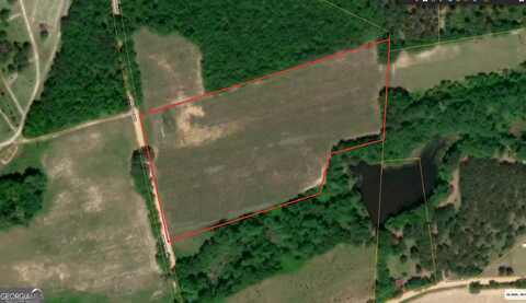 9.5 Acres Danny Martin, Cobbtown, GA 30420