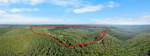 000 Pine Top Road, Hollister, MO 65672