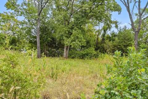 Lot 116 Navajo Trail, Kimberling City, MO 65686