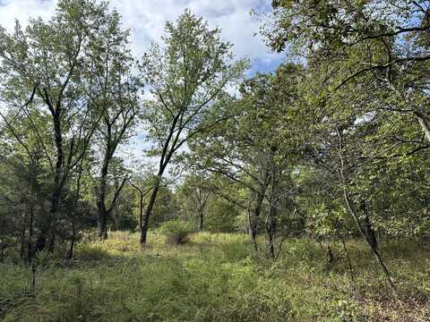 000 Carter 146, Fremont, MO 63941