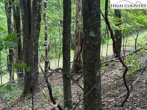 Lot 648 Longview Ln or Merrywood Drive, West Jefferson, NC 28694