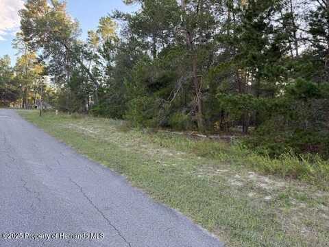 4 Belllis Court, Homosassa, FL 34446