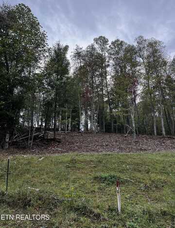 Lot 2 Old Tanner Cemetery Rd, Crossville, TN 38571
