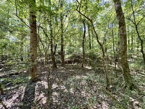 Randolph Fridley Rd, Sweetwater, TN 37874