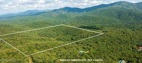 Smithfield Rd, Tellico Plains, TN 37385