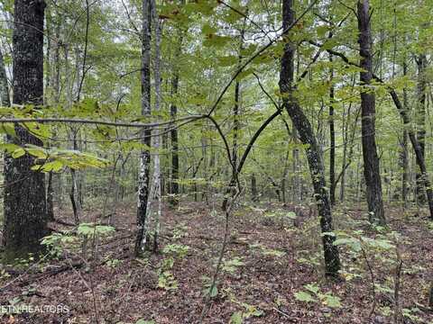 White Oak Rd, Monterey, TN 38574