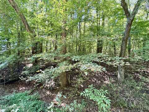 Randolph Fridley Rd, Sweetwater, TN 37874