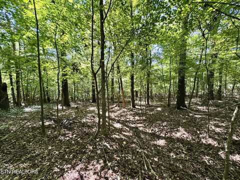 Randolph Fridley Rd, Sweetwater, TN 37874