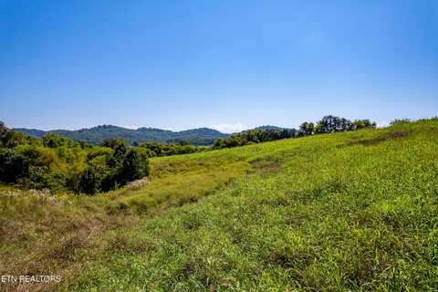 National Campground Rd, Greenback, TN 37742