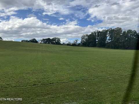 0 Bud Hawkins Rd Rd, Corryton, TN 37721