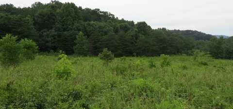 1 Tacket Hill Cemetery Road, Hulen, KY 40845
