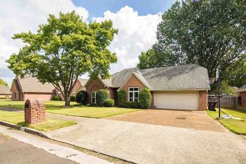 954 WILDBIRD, Collierville, TN 38017