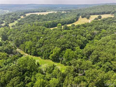 Tbd Highway 17, tract 19, Unincorporated, MO 65452