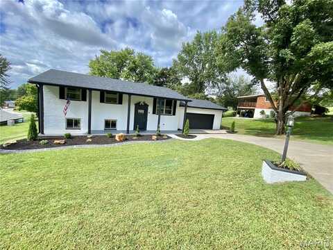 6 Mimosa Drive, Wood River, IL 62095