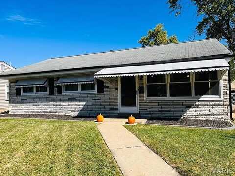 4123 Tesson Street, Saint Louis, MO 63123