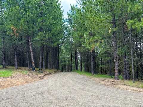 Challis Lane lot: 40, Cascade, ID 83611