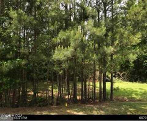 417 Lake Waters Pointe, Lizella, GA 31052