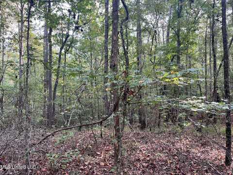 Poplar Springs Road, Florence, MS 39073