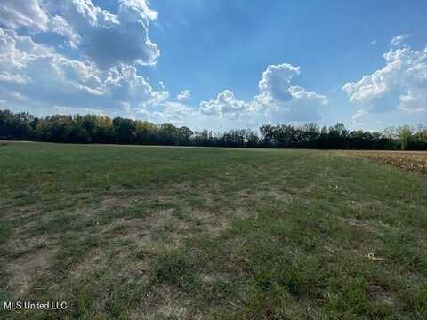10 1/2 Acres Smith, Hernando, MS 38632