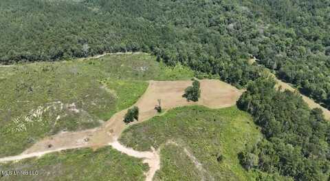 00 Ebenzer Church Road, Bassfield, MS 39421