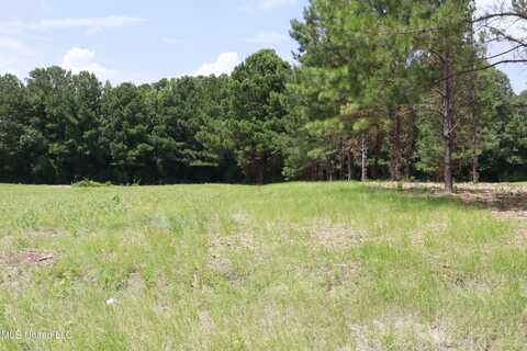 0 Country Place Parkway, Pearl, MS 39208