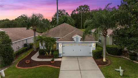 3009 BANYAN HILL LANE, LAND O LAKES, FL 34639