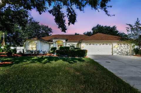 1333 ALANA COURT, LUTZ, FL 33549