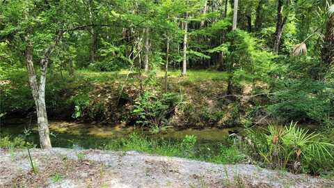 3690 SE 54TH AVENUE, MORRISTON, FL 32668