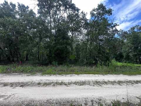155TH TERRACE NE, WILLISTON, FL 32696