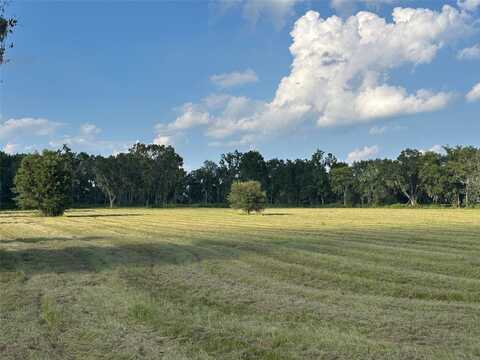 Tbd NW 100TH AVENUE, OCALA, FL 34482