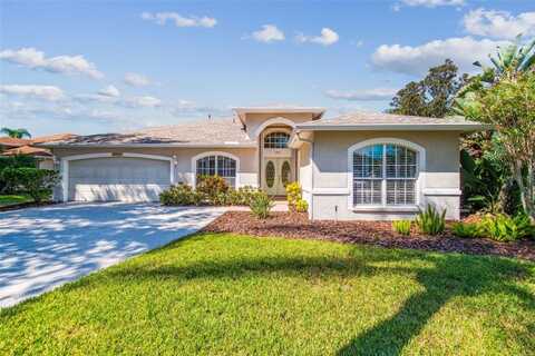 19417 MORDEN BLUSH DRIVE, LUTZ, FL 33558
