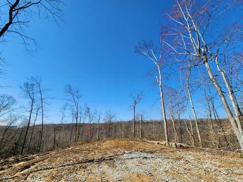Lot 2 Goat Hollow Estates Road, Martinsville, IN 46151