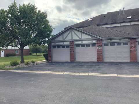 6241 MISTY PINES Drive, Tinley Park, IL 60477