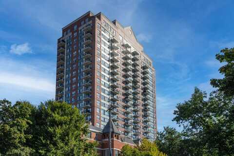 1717 S Prairie Avenue, Chicago, IL 60616