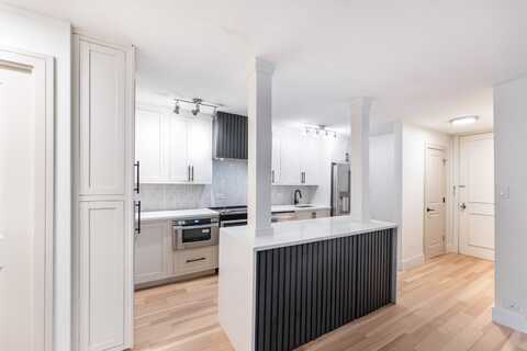 1339 N Dearborn Street, Chicago, IL 60610