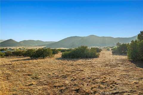 0 Dwight Lee, Acton, CA 93510