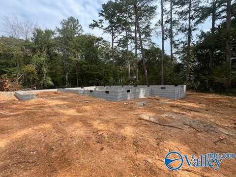 305 Travis Road, Fort Payne, AL 35967