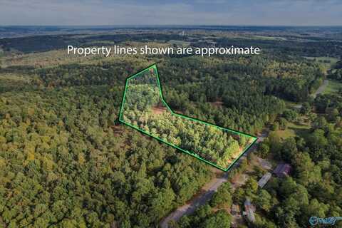 8.6 Acres Davis Gap Road, Vinemont, AL 35179