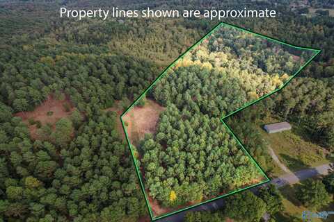 8.9 Acres Davis Gap Road, Vinemont, AL 35179
