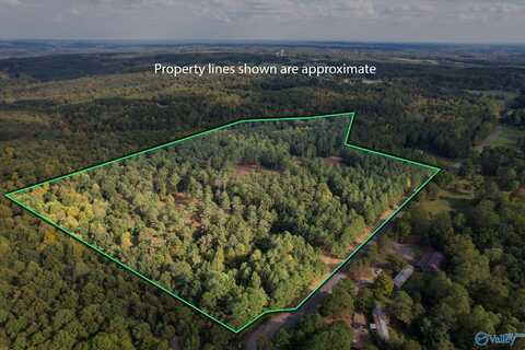 25.8 Acres Davis Gap Road, Vinemont, AL 35179