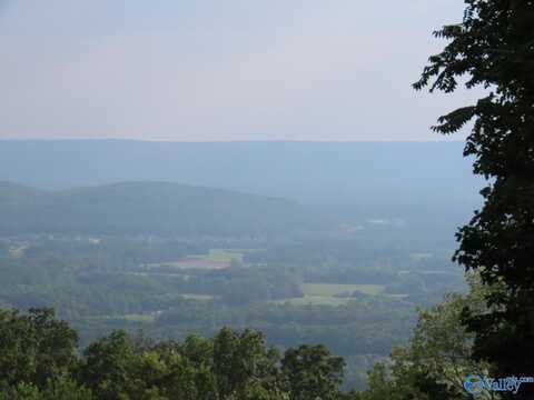 787 Blowing Cave Road, Gurley, AL 35748