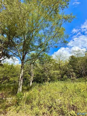 158 Lyons Road, Decatur, AL 35603