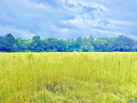 1376 Neel School Road, Danville, AL 35619