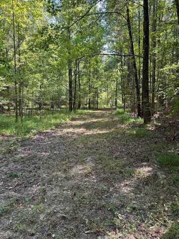 Cr 311, Calhoun City, MS 38916