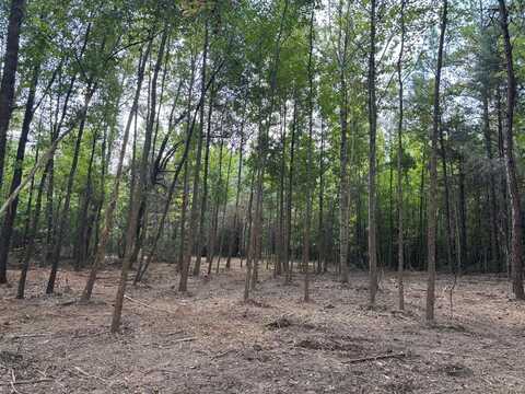 HWY 346, Thaxton, MS 38871