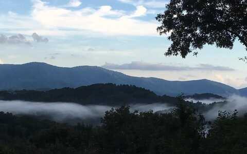 848 Maggie Chapman Road, Cherry Log, GA 26906