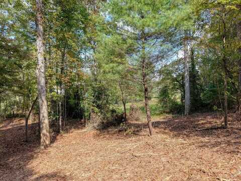 Lt 40 Pleasant Meadows, Blairsville, GA 30512