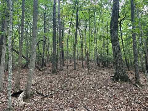 17 Ac Hideaway Hills, Blairsville, GA 30512